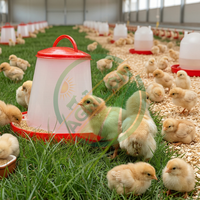 Abreuvoir automatique commercial pour volailles, capacité de 1,5L à 16L, en PVC, pour élevage de poulets de chair, système d'économie d'eau