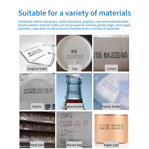 Impresora de Etiquetas de Inyección de Tinta Totalmente Automática Tij Online, <span class=keywords><strong>Precio</strong></span> de Fábrica, 600dpi, Multicolor, Impresión sin Bordes, Fecha de Lote, Número de Serie - Product Image 4