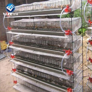 Gabbia automatiche per la raccolta di uova 200 per 600 gli uccelli Vendita calda in Malesia gabbie di quaglia per la produzione di uova - Product Image 3