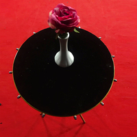 Desalen NOUVEAU Accessoires de magie de scène, tours de magie, trépied, table pliante magique, illusion, table de magicien