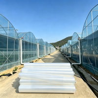 Film de serre résistant aux UV, anti-vieillissement, anti-goutte, en plastique, pour serres de légumes et de fruits, largeur personnalisée