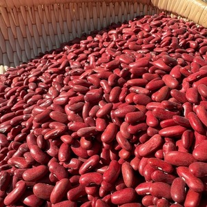 Frijoles Rojos Naturales Orgánicos Crudos con Alto Contenido de Proteínas para Dietas Vegetarianas y Preparación de Comidas a Base de Plantas - Product Image 3
