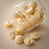 Gefreeze-droogde mango cashewnoten, natuurlijke voeding, knapperige textuur voor ontbijtgranen, yoghurttopping & groothandel