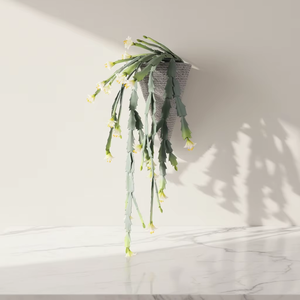 <span class=keywords><strong>Cactus</strong></span> Epiphyllum Artificiale da Parete <span class=keywords><strong>in</strong></span> Vaso Conico Intrecciato, Decorazione di Orchidea <span class=keywords><strong>Cactus</strong></span> Finta Pendente - Product Image 6