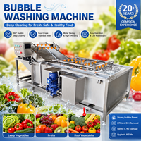 RVS-belletjesreinigingsmachine voor fruit, groenten, vis en voedselverwerkingsbedrijven