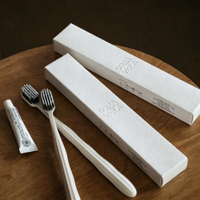 Ensemble d'articles de toilette pour hôtel OEM ODM, emballage en boîte en papier kraft écologique, kit de toilette jetable, brosse à dents jetable