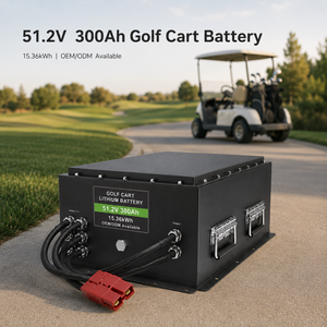 OEM 48V 51.2V 300Ah 15.36kwh 골프 카트 리튬인산철(LiFePO4) 딥 사이클 배터리 팩 (지게차, 선박용) - Product Image 2