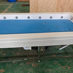 Bañera Rectangular Independiente de Acrílico para Spa, Masajes, Exfoliación, Baño de Sal, Sauna, Cuidado de la Salud, Exfoliación de Espalda, Resistente a la Corrosión - Product Image 4