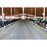 Abri de ferme en acier coloré résistant aux intempéries
