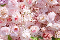S066 rose décoratif floral fleur artificielle mur plantes artificielles fleurs toile de fond décorations de mariage