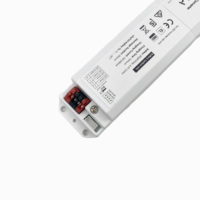 Inverter Lampu Darurat LED 2W 3W Pabrik Terpercaya, Uji Mandiri 3 Jam, Paket Baterai LiFePO4 Isi Ulang untuk Lampu Linear Batten