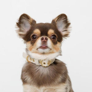 लक्जरी समायोज्य कुत्ते कॉलर ठोस शैली व्यक्तिगत pu और चमड़े के पट्टे के लिए रिवेट सजावट के साथ - Product Image 6