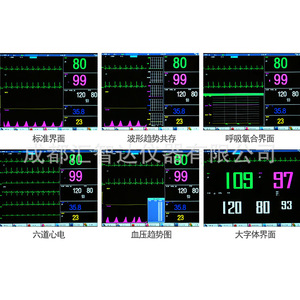 เครื่องตรวจคลื่นไฟฟ้าหัวใจสัตว์ Huizhida รุ่น DJ-12 สำหรับแมวและสุนัข ใช้สำหรับการผ่าตัด พร้อมตัวเลือกเครื่องพิมพ์ - Product Image 1