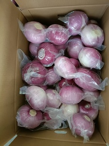 Trung Quốc tươi bóc vỏ hành tây tươi hành tây bóc vỏ vàng giá thấp - Product Image 5