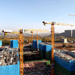 QTZ125(H6015A) 10 T 60m Flat-Top Tower Crane 60m Grúas Torre Precios con capacidad de carga nominal de 10 toneladas - Product Image 4