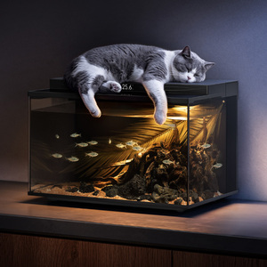 Aquarium intelligent 31L avec distributeur automatique d'aliments, éclairage RGB pour aquascape, pompe silencieuse 510L/H, filtration humide-sèche et contrôle par application - Région CN - Product Image 5