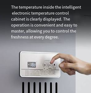 <span class=keywords><strong>Congélateur</strong></span> <span class=keywords><strong>coffre</strong></span> commercial 300L, température réglable, vitrine en verre, pour supermarché, restaurant, et commerces de proximité - Product Image 4