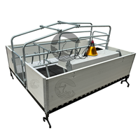 Caisses de mise bas de truie de haute qualité Cages professionnelles pour animaux d'élevage de porcs pour fermes porcines