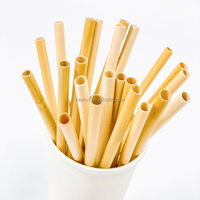 Pailles à boire classiques en bambou bio écologiques, durables, biodégradables, certifiées LFGB, polies, naturelles, 200 mm, accessoires