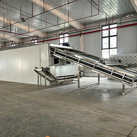 Industriële voedseldroger, multifunctionele fruitdroger voor de productie van tropisch fruit