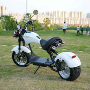 Scooter électrique Citycoco US Warehouse 60V à batterie longue durée et pneus larges, City <span class=keywords><strong>Coco</strong></span> <span class=keywords><strong>2</strong></span> places avec COC - Product Image 5