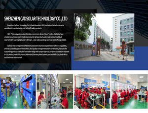 تحذير CadSolar سهلة التركيب طويلة الأمد للمشاة حمار وحشي عبور علامة Led - Product Image 6