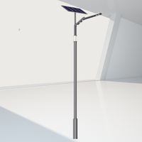 Alumbrado Público Exterior Impermeable IP65 Farolas Solares Lámpara Decorativa para Calle de 100W