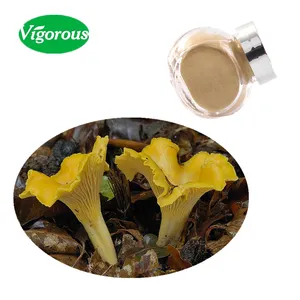 Extracto de setas de chanterelle orgánico, muestra gratis, ISO22000