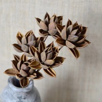 Pabrik Huhuan Bunga Bauhinia Asli Berkualitas Tinggi Buatan Tangan Alami Terawetkan dari Kayu Lotus, Bunga Kering Asli untuk Dekorasi Rumah Zen, Pernikahan, dan SPA
