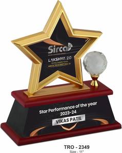 Trofeo de premio en forma de estrella con base de madera, reconocimiento a empleados, premio por logro anual, apreciación y premio por rendimiento corporativo - Product Image 1