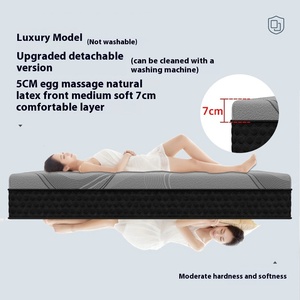 Directo de fábrica Durable 3D Simmons Nine-Zone Resorte de bolsillo independiente Personalizable Masaje silencioso Hotel natural Dormitorio moderno - Product Image 3