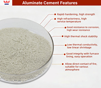Ciment réfractaire haute température Ca70 Ca80, ciment blanc à base d'aluminate de calcium, poudre de ciment à haute teneur en alumine