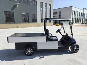 Voiturette de golf classique 2 places 2025 avec phares LED, vitesse 30 km/h, autonomie 30-50 km, batterie 48V, homologuée EEC/DOT/CE/GCC, modèle 202 - Product Image 2