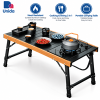 Table de camping pliable en aluminium, résistante à la chaleur, pour cuisiner et manger en extérieur, 2 en 1, portable, pour camping et pique-nique