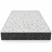 Panneau en mousse de polystyrène expansé léger, écologique et anti-âge pour l'isolation thermique des entrepôts