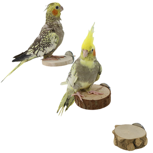 Talk-Satisfied 8mm Love <strong>Bird</strong> Stocked Foot <strong>Ring</strong> Flying Training Pigeon <strong>Leg</strong> <strong>Rings</strong> Eco-Friendly All Seasons - Product Image 1