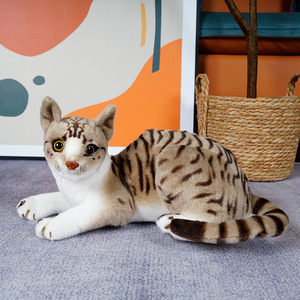 Gato de peluche personalizado Ragdoll Siamés birmano británico de pelo corto gato americano exótico de pelo corto <span class=keywords><strong>persa</strong></span> muñeco de peluche para niños - Product Image 3