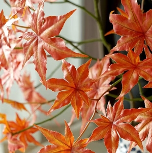 인공 붉은 단풍 나무 1.3m-1.8m 플라스틱 분재 인공 일본 붉은 잎 식물 - Product Image 4