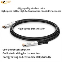 YTOPTO QSFP28 100G DAC 구리 케이블 1-5m 30AWG 고속 링크 /Arista/Juniper/Mellanox/ 5G IP와 호환 가능