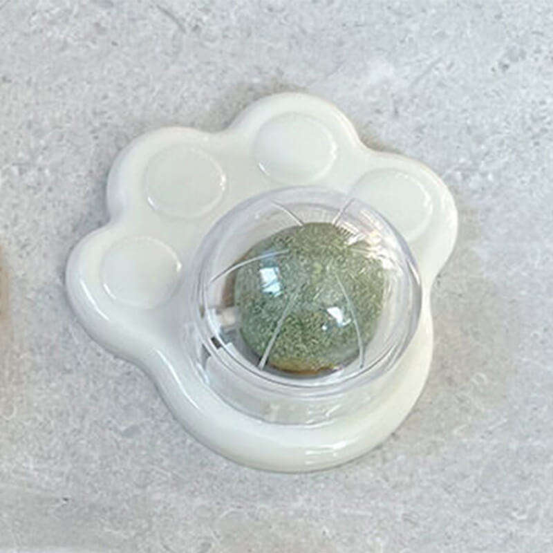 อุ้งเท้าแมวสีขาว02