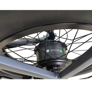 Vente d'usine adulte 48V 15AH 750W 1000W vélo électrique pliant/gros pneu vélo électrique/cyclomoteur avec pédale livraison directe EBike - Product Image 3