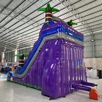 Château gonflable commercial simple et populaire, piscine gonflable, toboggan aquatique pour divertissement en plein air