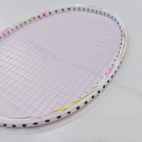 Raquette Dmantis OEM disponible, raquette en carbone intégral, raquette de badminton professionnelle haut de gamme, meilleures raquettes de badminton pour l'entraînement