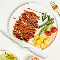 Couteaux à steak en acier inoxydable, lot de 16, couteau de table durable, blanc, à lame dentelée, manches en plastique professionnels, ambidextres