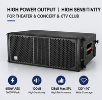 Altavoz de Línea Doble Pasivo de 10 Pulgadas, 650W RMS, Sensibilidad de 100dB, Sistema de Altavoces Profesional para Conciertos