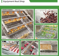 Fruit Groente Wassen Schilmachine Pitaya Dragon Fruit Waslijn Sorteren Fruit Wassen Sorteren Waxen Productielijn