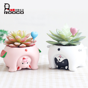 <span class=keywords><strong>Pot</strong></span> de plante succulente d'intérieur en résine Roogo, <span class=keywords><strong>pot</strong></span> à fleurs en forme de cochon coupé - Product Image 5
