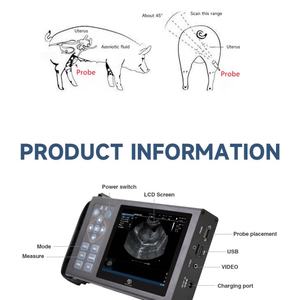 Échographe portable RS A10 étanche à sonde convexe pour le comptage des porcelets gestants dans les élevages porcins et l'imagerie professionnelle - Product Image 3