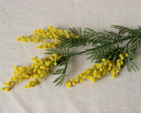Nouvelle fleur artificielle en plastique d'acacia, fleur en peluche triginale jaune roi fleur de cerisier décoration fleur