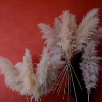 Produsen grosir rumput Pampas 120cm bunga kering Pampas abadi rumput Pampas krem besar untuk dekorasi rumah